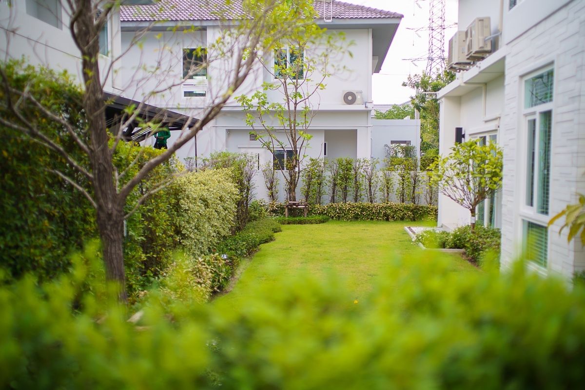 Mantana Bangna-Wongwaen | บ้านเดี่ยวพร้อมอยู่ โครงการทำเลฮอต เฟอร์นิเจอร์ครบ ขายพร้อมผู้เช่า #HL Focus